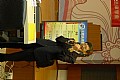 P1000517.jpg