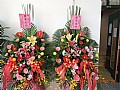 DSCN0258.jpg