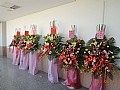 DSCN0274.jpg